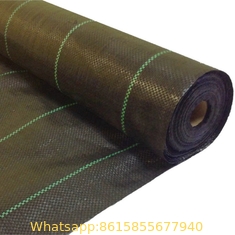 Polypropylene agricultural Factory Direct Sale Weed Mat Control Black Agricultural Breathable