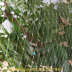 anti bird protection net