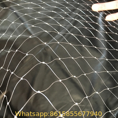 UV stabilized plastic agricultural anti bird netting for orchard/garden/fruit tree