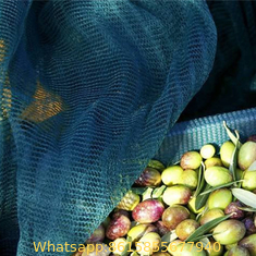 100% HDPE Agricultural Harvest Olive Net/red olive colleting net