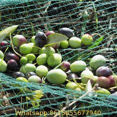 100% HDPE Agricultural Harvest Olive Net/red olive colleting net