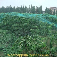100% Virgin Anti Bird Plastic Net for Fruit Cage Netting