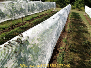 ANTI-INSECT NET with UV