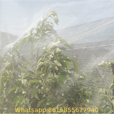 Anti-Insect-Net-for-Agriculture-and-Garden-Greenhouse