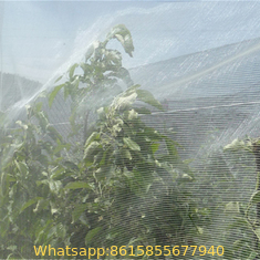 anti insect netting, rede anti-insetos manufacturer