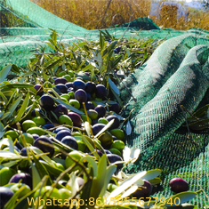 100% Virgin HDPE Olive Net, olive sack
