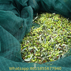 Latest Material Best Quality Olive Net Manufacturer