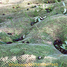 HDPE Agriculture Fruit/ Olive Net/ Harvest Nets/ Collecting Net/ Olive Collect Net