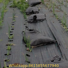 black ground cover/weed mat with holes for gardens