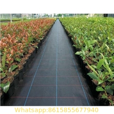 Factory Supply China High Quality Black PP Woven Weed Barrier/Weed Control Fabric
