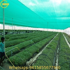 hdpe mono green Shade Net for agriculture