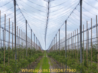 PE with UV 53gsm white color agriculture apple tree anti hail net