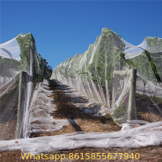 Anti hail net, agricultural protection net,hail nets, export to Yemen