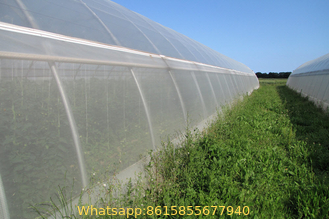 Insect Barrier Netting for Garden