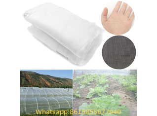 Vegetable Anti-insect Nets for Sale