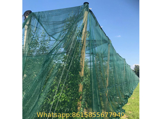 Greenhouse Protection Nets & Insect Screens