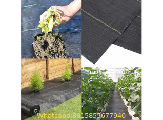 Polypropylene Woven Plastic Ground Cover, PP Weed Control Mat Woven Fabric