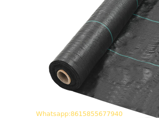 Polypropylene Ground Cover, Landscape Ground and Weed Fabric