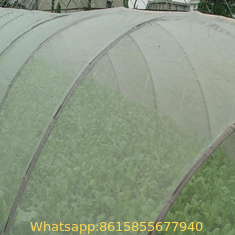Low Cost Agricultural Greenhouse Anti Insect Proof Plastic Net