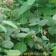 Netting Garden Durable Nylon Trellis Net Support Climbing Plant Vine Support
