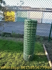 4 ft. x 50 ft.PE Orange Plastic Mesh Safety Edge Fence green net for garden