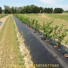 Weed Barrier Garden Landscape Weed Control Membrane Fabric Ground Cover Barrier Block Mat : Patio, Lawn & Garden