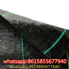 Best Sellers in Weed Barrier Fabric