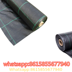 PP plastic black anti weed mat/woven fabric mat/Black color anti grass ground cover