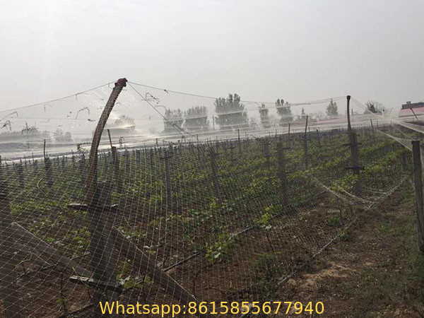 Extruded square agricultural anti bird protection net