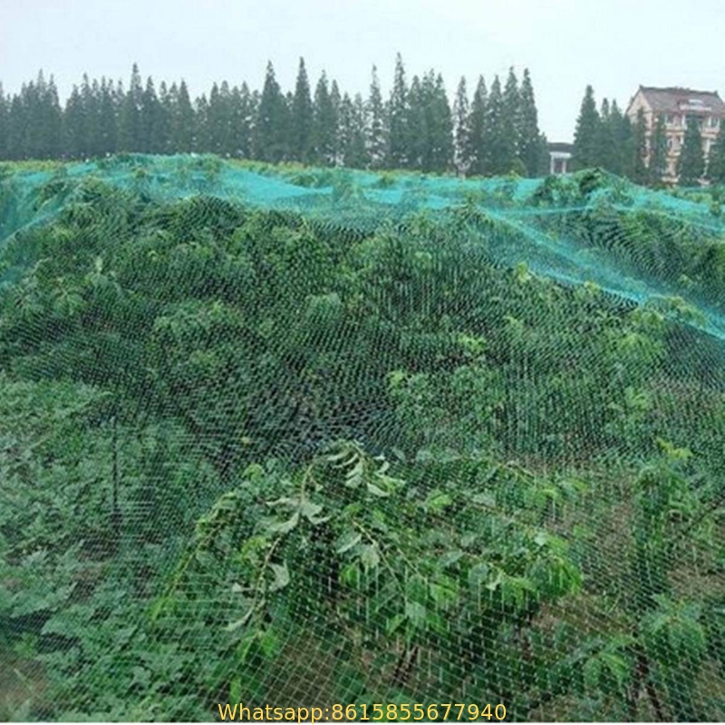 100% Virgin Anti Bird Plastic Net for Fruit Cage Netting