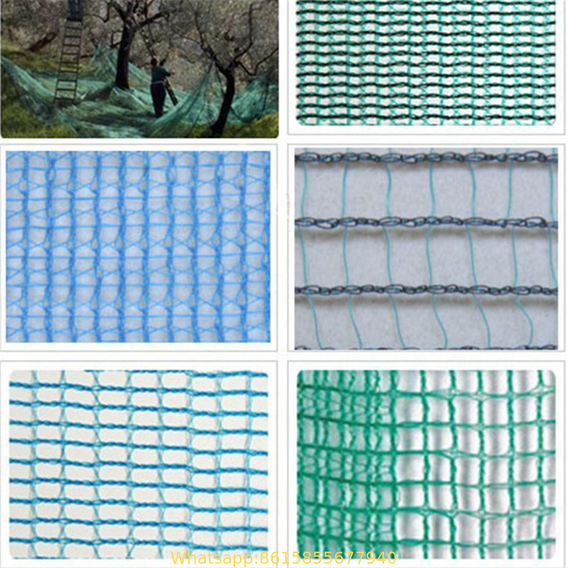 Black Color Anti Hail Net Olive Net for Agriculture