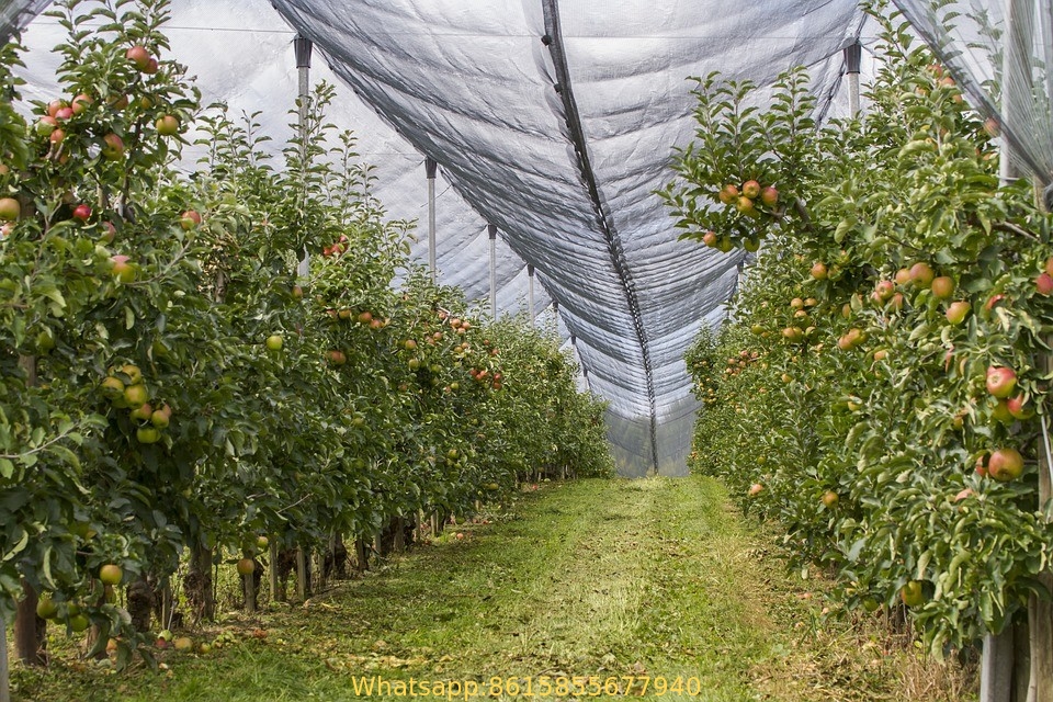 Agriculture Protection Anti Hail Netting