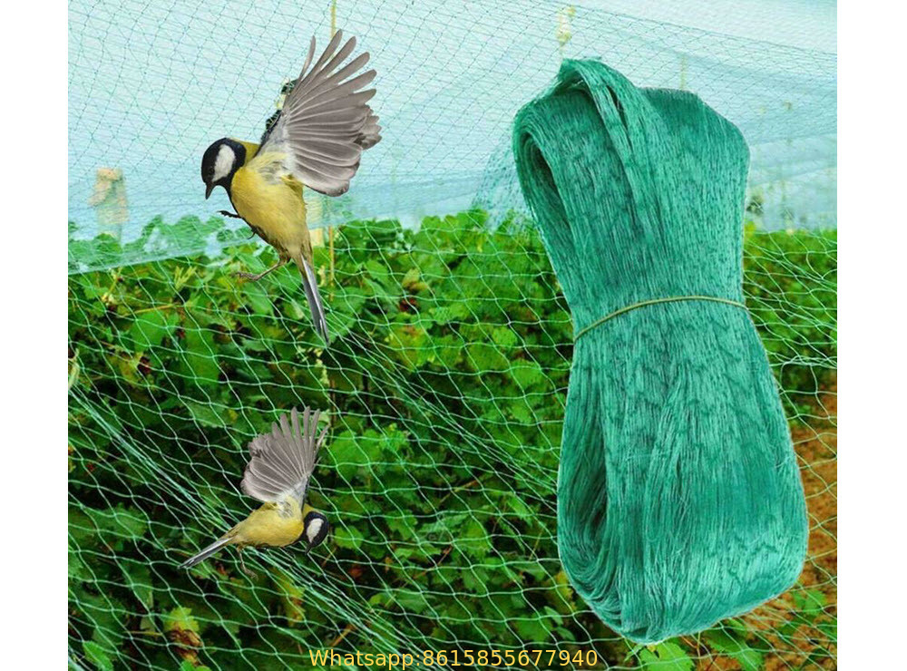 Garden Netting to Keep Birds Out