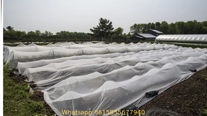 #2021 new material UV  anti Insect Net