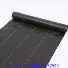 PP Weeding Barrier Mat Anti Grass Ground Cover