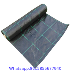 Mat Anti Weed Mat Greenhouse Farm Planting Weeding Control Mat Anti Grass PP Plastic Ground Cover