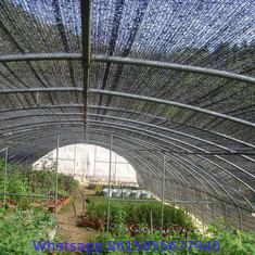Wholesale Low Price Shade rate Latest plastic screen fence hot sales colorful HDPE virgin anti UV balcony shade net