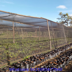 China Factory 40%-95% Shade Rate Black Green Shade Cloth HDPE Shade Nets for Plants /Vegetables/Greenhouse/Garden