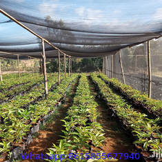 Agro/Agricultural/Greenhouse/Horticulture/Vegetable/Garden/Raschel/Shading/Anti Hail/Olive/Safety/Waterproof/Privacy