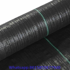 Plastic cheap anti weed mat woven PP ground cover for agriculture