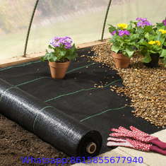 Plastic cheap anti weed mat Woven polypropylene anti weed mat for agriculture