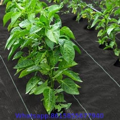 Agriculture weed control black weed mat ground cover, garden anti weed mat greenhouse fabric