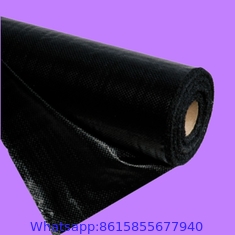 Anti Weed Mat Plastic Mulch Film Agricultural Black Plastic Ground Cover