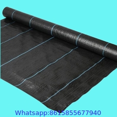 Anti Weed Mat Plastic Mulch Film Agricultural Black Plastic Ground Cover