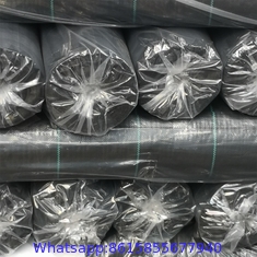 Strawberry Plant Greenhouse Weed Mat Cover Ground Control Weed Growing Anti-weed Black PP Material