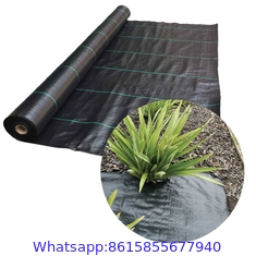 Strawberry Plant Greenhouse Weed Mat Cover Ground Control Weed Growing Anti-weed Black PP Material