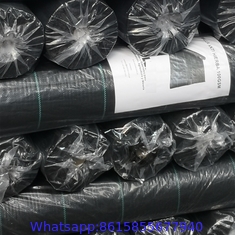 Strawberry Plant Greenhouse Weed Mat Cover Ground Control Weed Growing Anti-weed Black PP Material