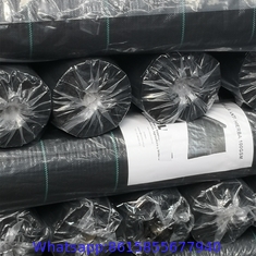 Strawberry Plant Greenhouse Weed Mat Cover Ground Control Weed Growing Anti-weed Black PP Material