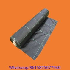 Weedmat Fabric Anti Weed Mat/Weed Control Mat Ground Cover