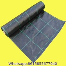 garden ground cover fabric/weed barrier mat/plastic pp anti weed agro weed control mat